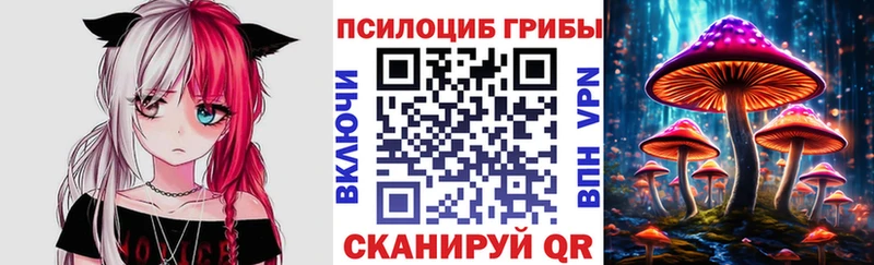 блэк спрут ссылка Сухиничи Псилоцибиновые грибы мухоморы где продают
